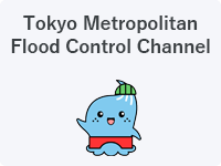 Tokyo Metropolitan Flood Control Channel