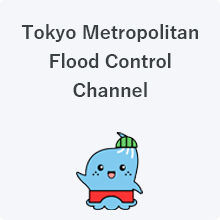 Tokyo Metropolitan Flood Control Channel