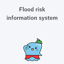 Flood risk information system