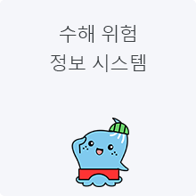 수해 위험 정보 시스템