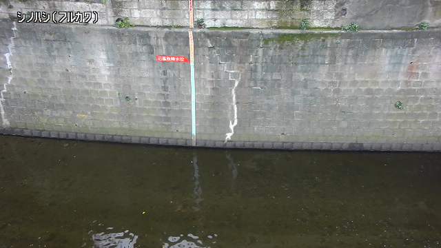 静止画