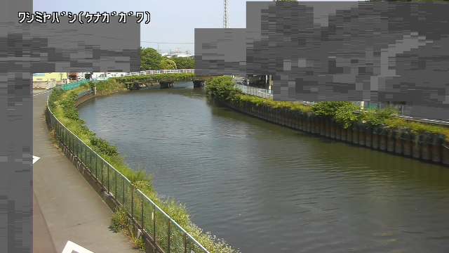 静止画