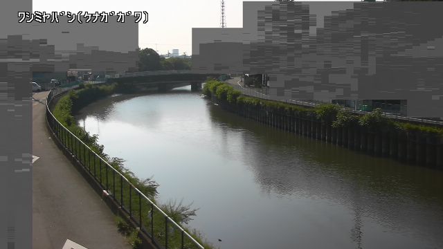 静止画