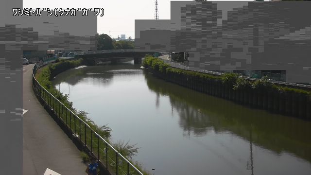 静止画