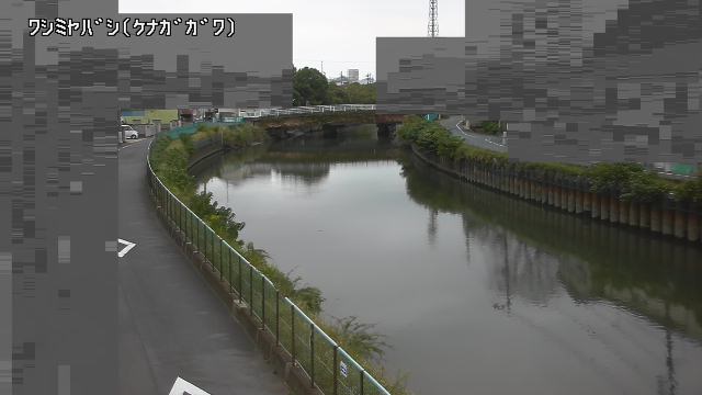 静止画