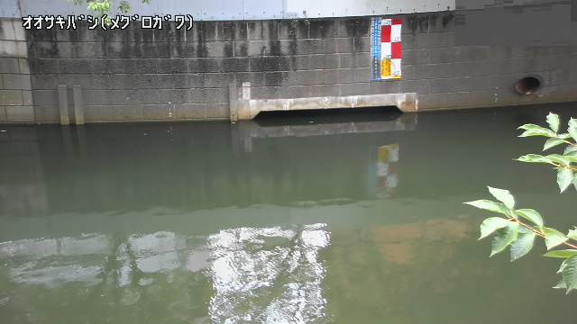 静止画