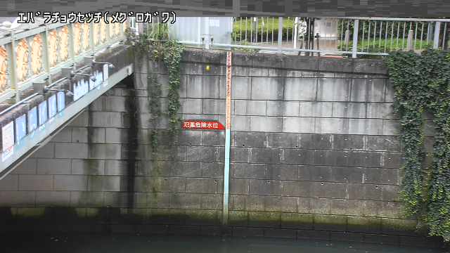 静止画