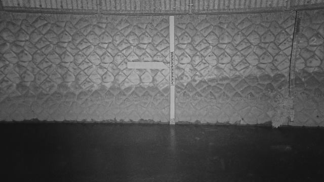静止画