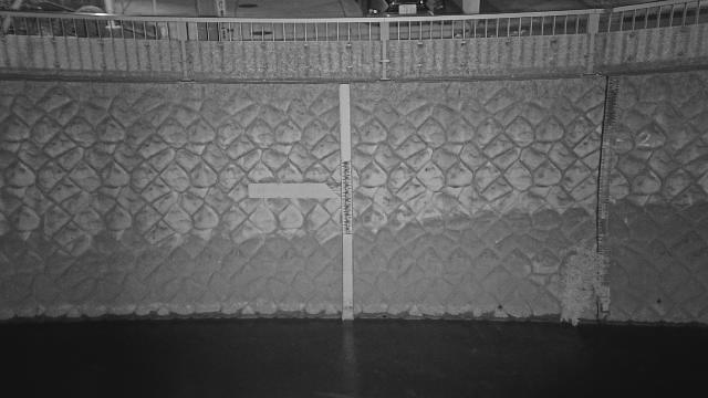 静止画