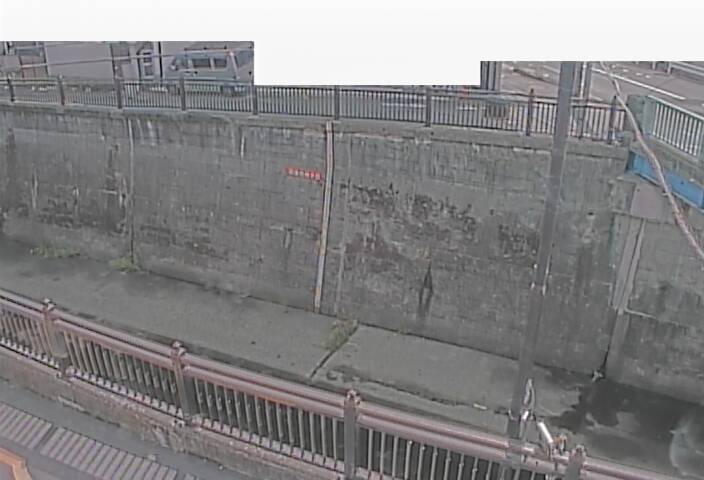 静止画
