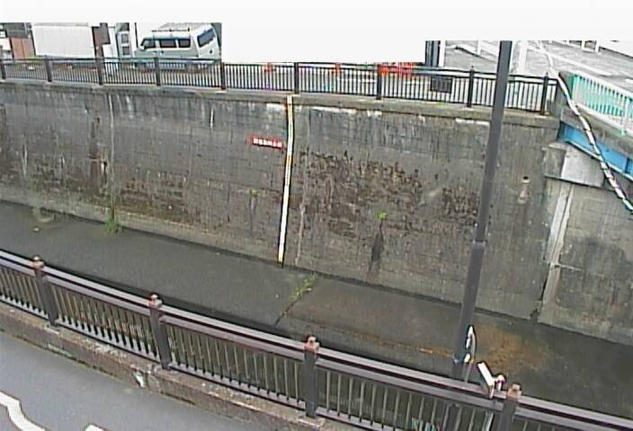 静止画