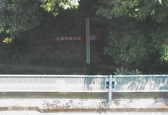 静止画