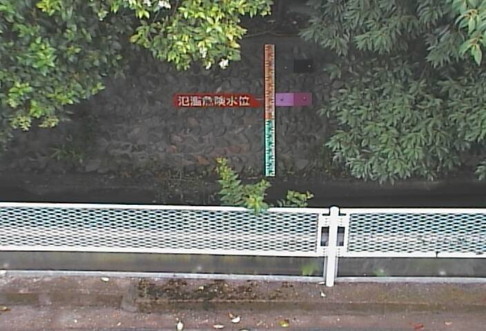 静止画