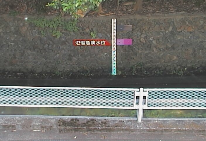 静止画