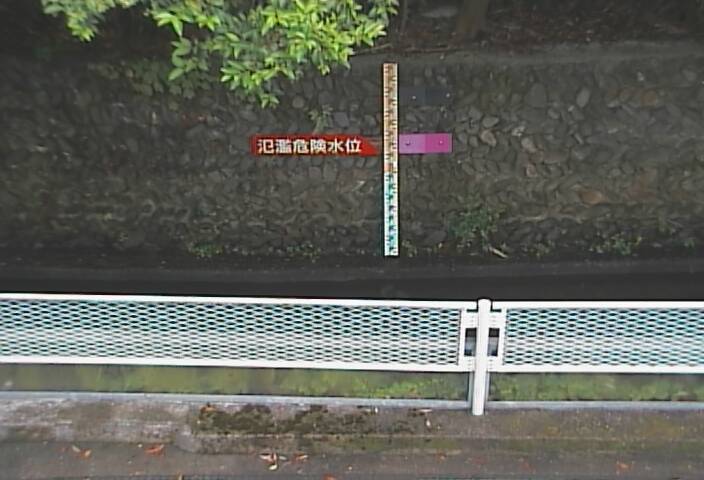 静止画