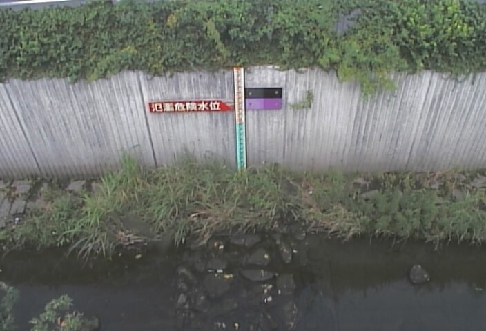 静止画
