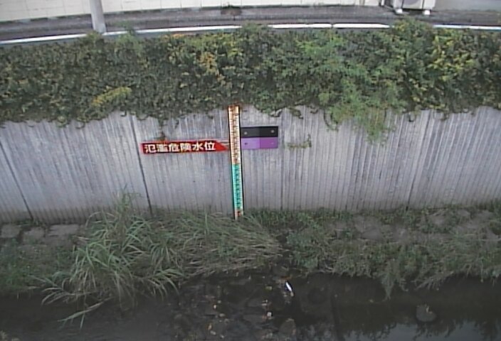 静止画