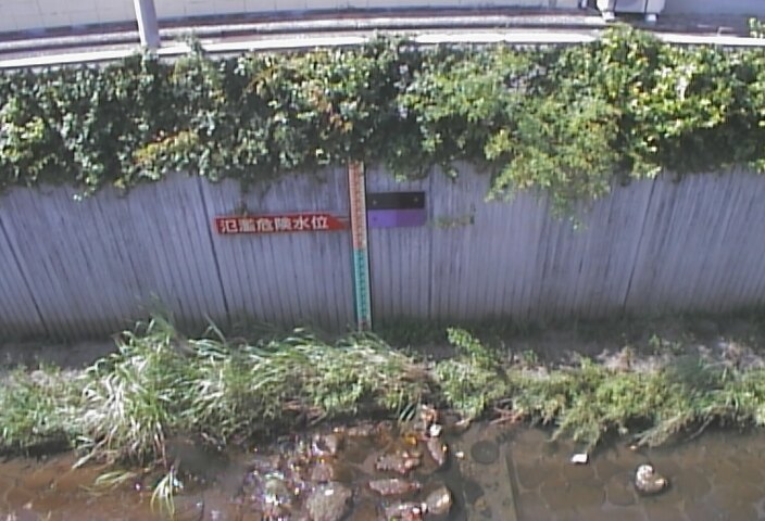 静止画