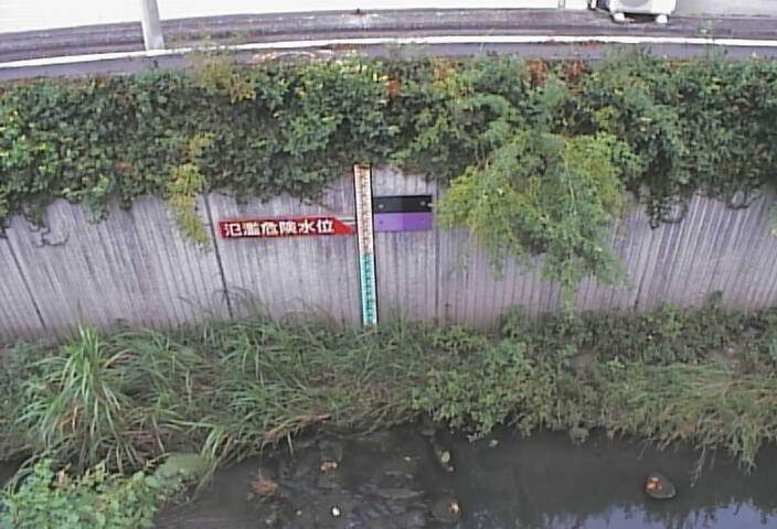 静止画