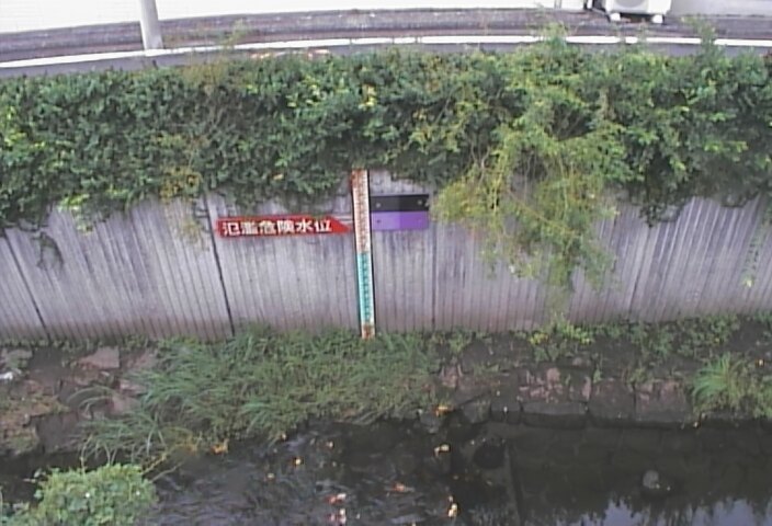 静止画