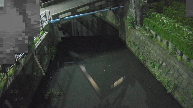 静止画