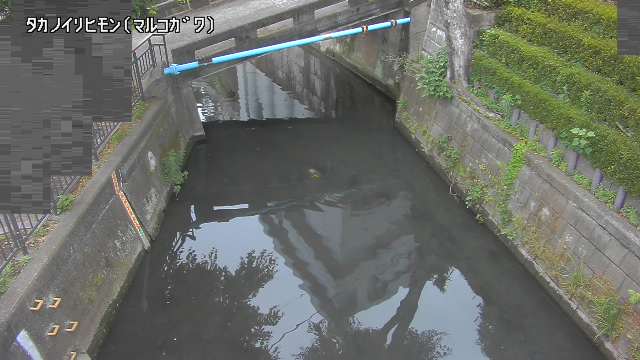 静止画
