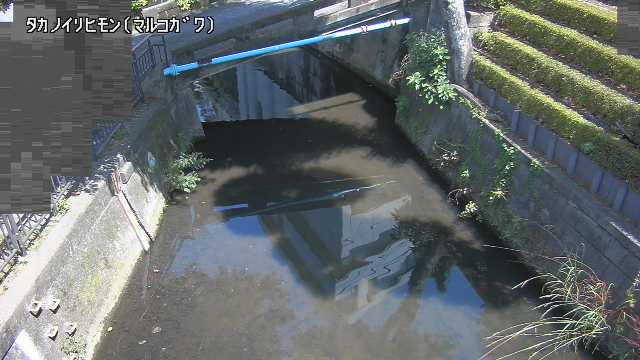 静止画
