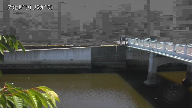 静止画