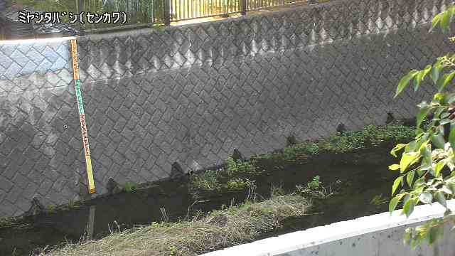 静止画