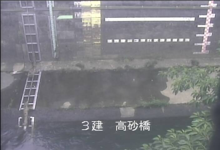 静止画