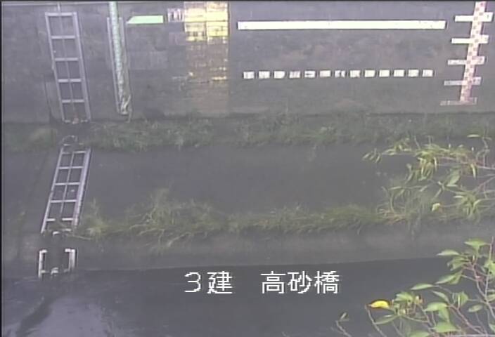 静止画