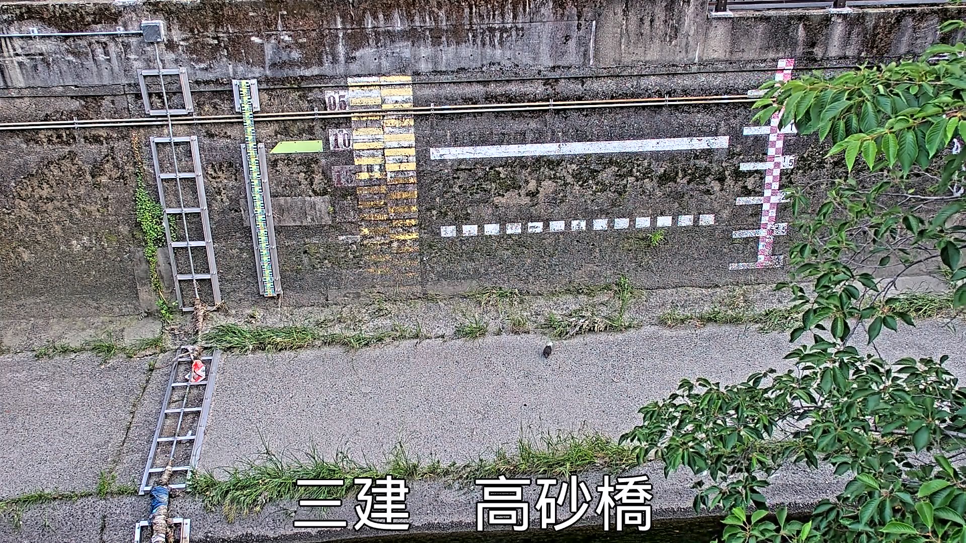 静止画