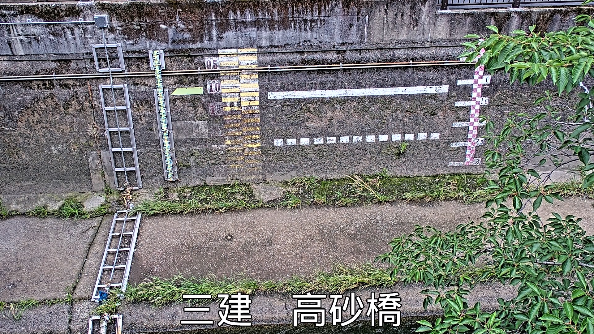 静止画