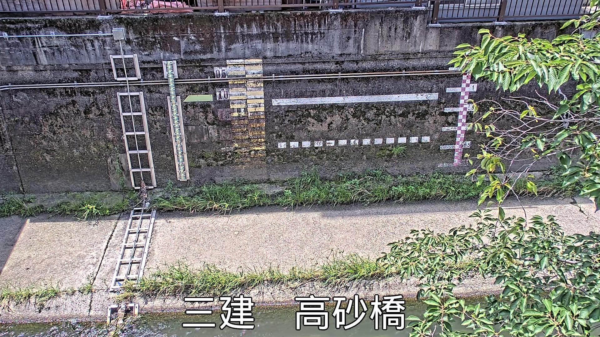 静止画