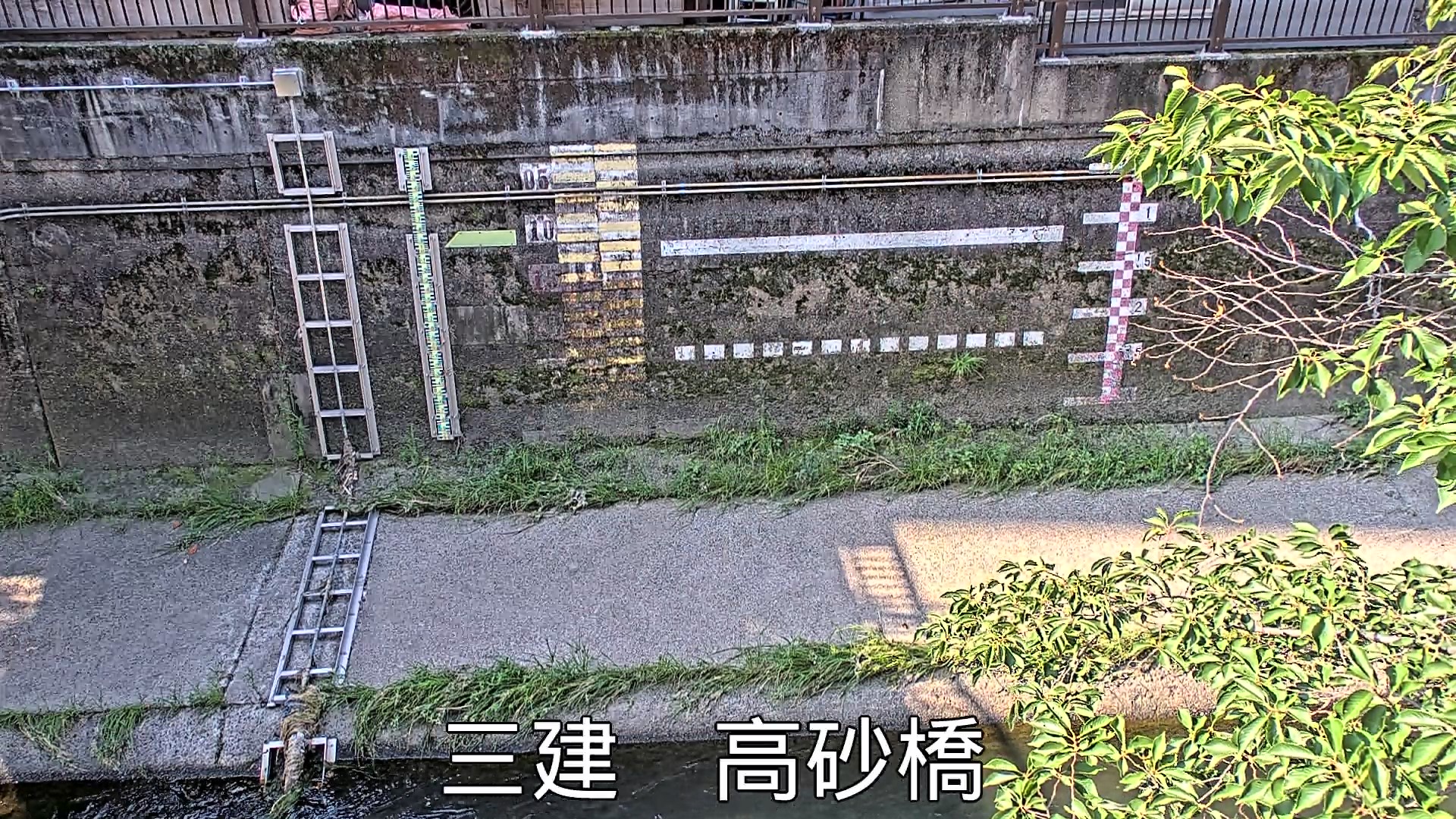 静止画