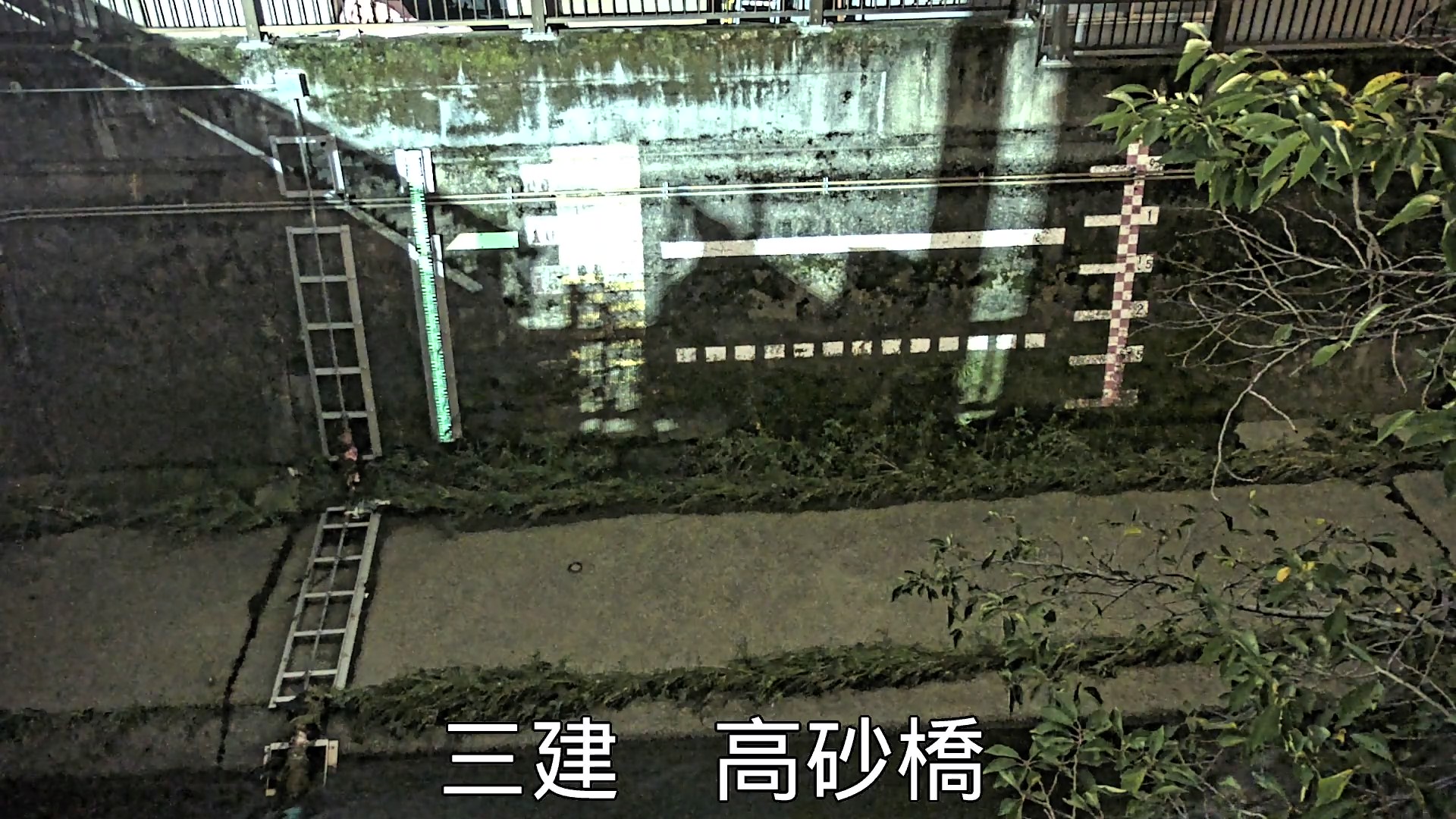 静止画