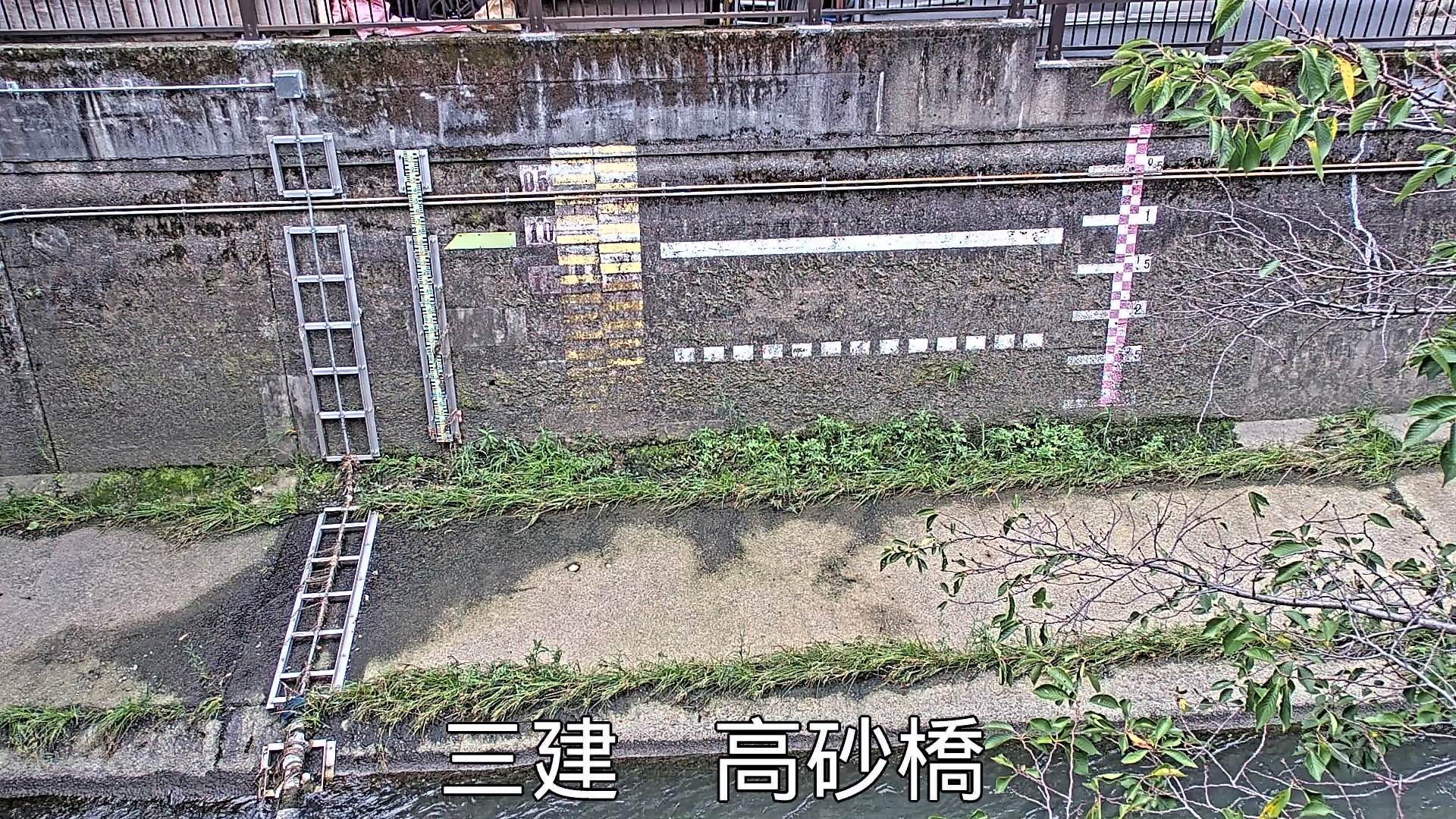 静止画