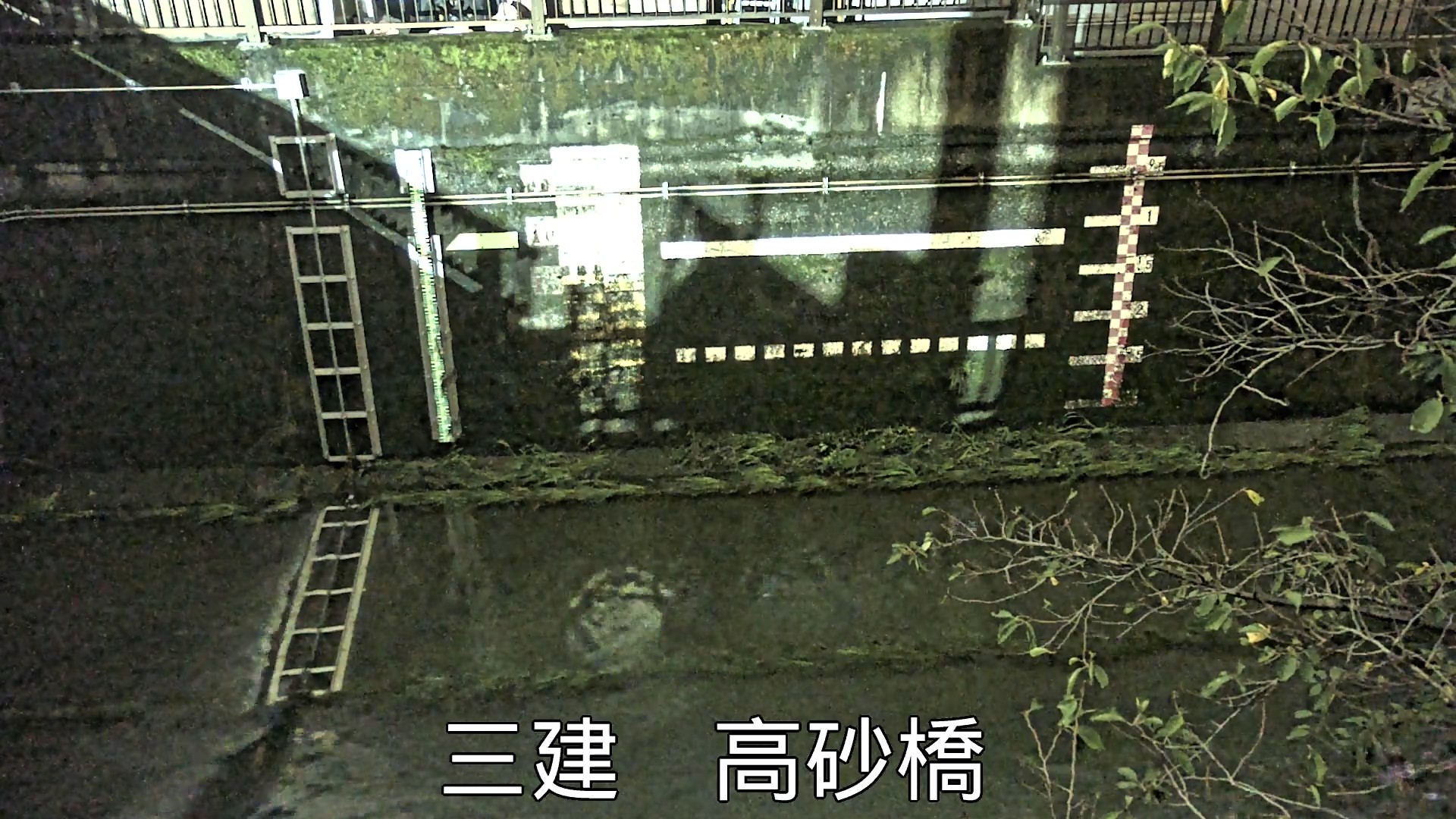 静止画
