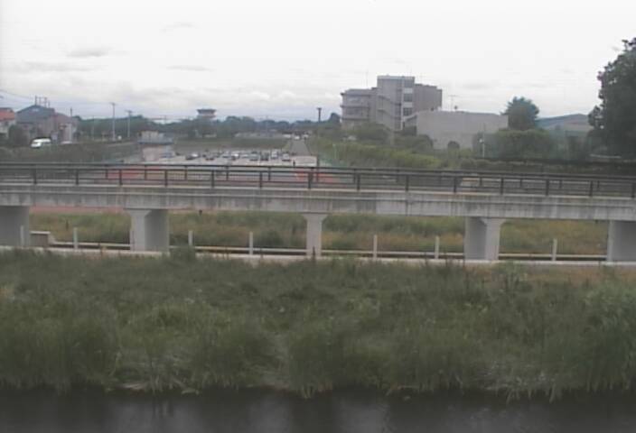 静止画