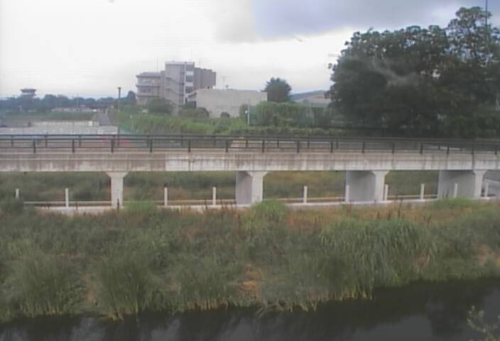 静止画