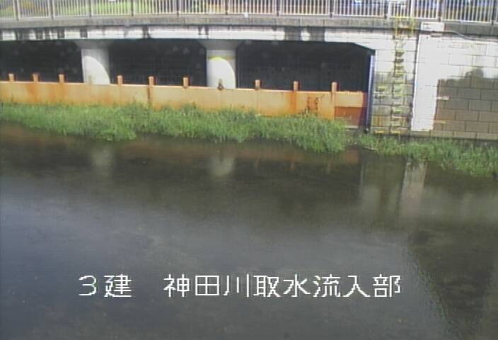 静止画
