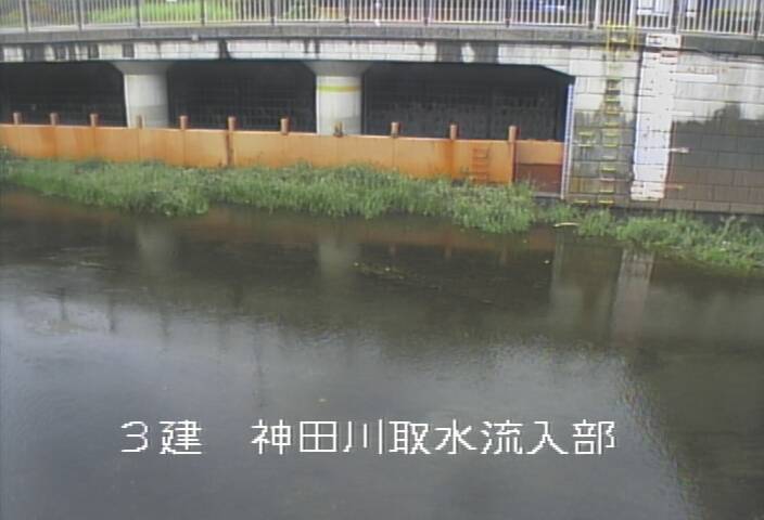 静止画