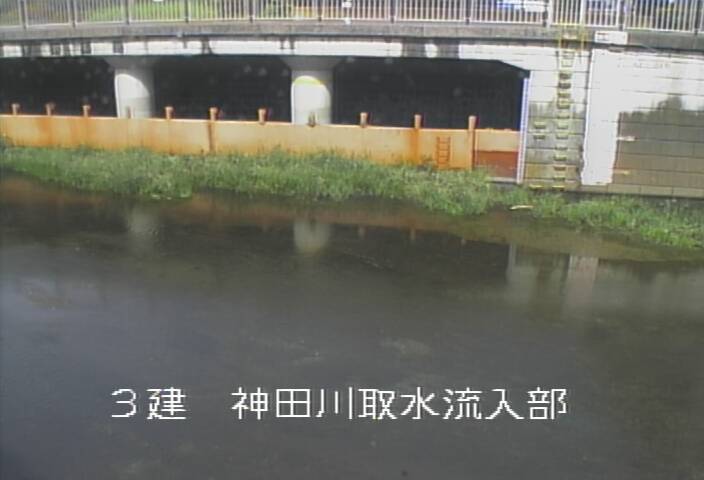 静止画