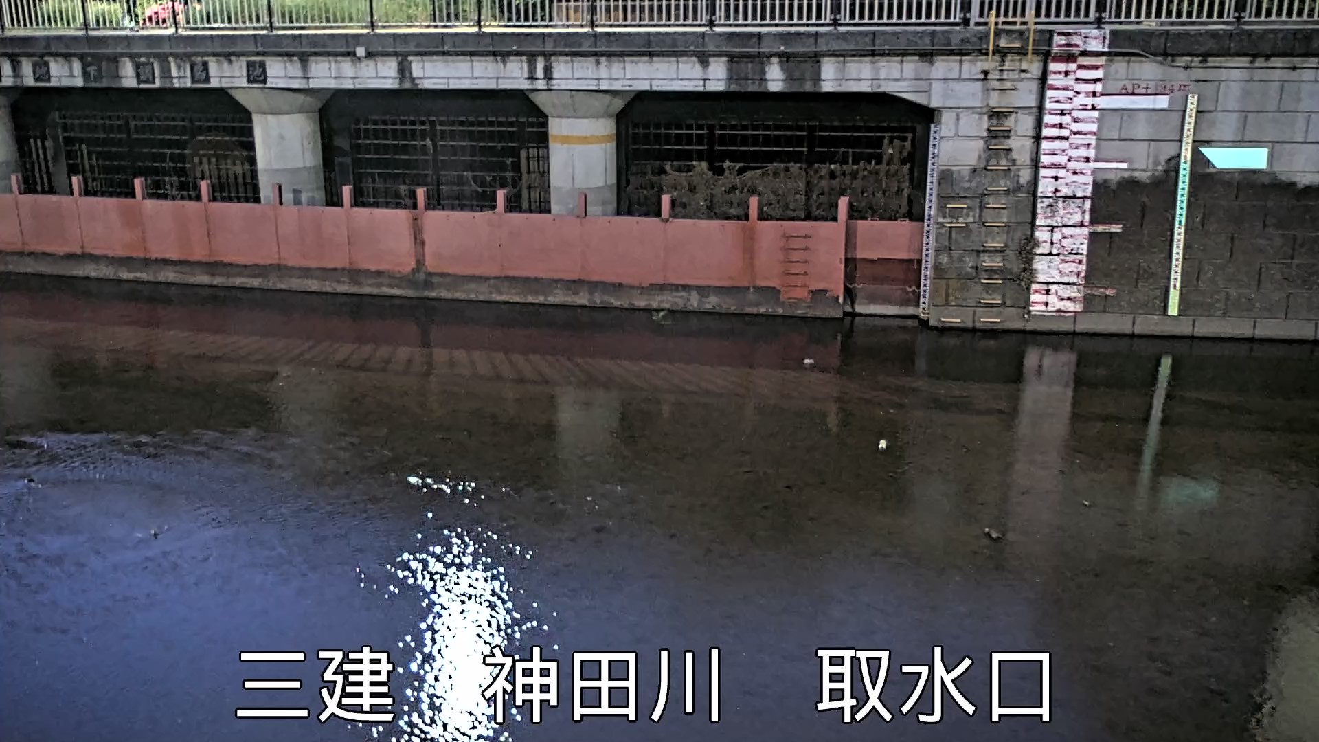 静止画