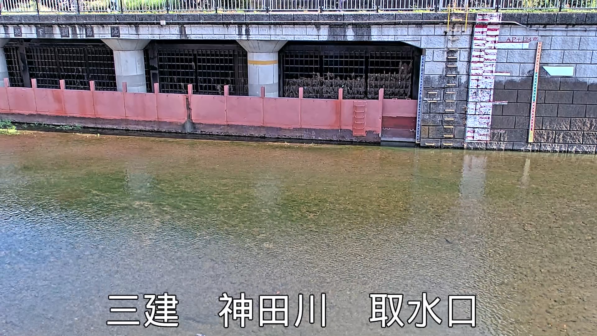 静止画