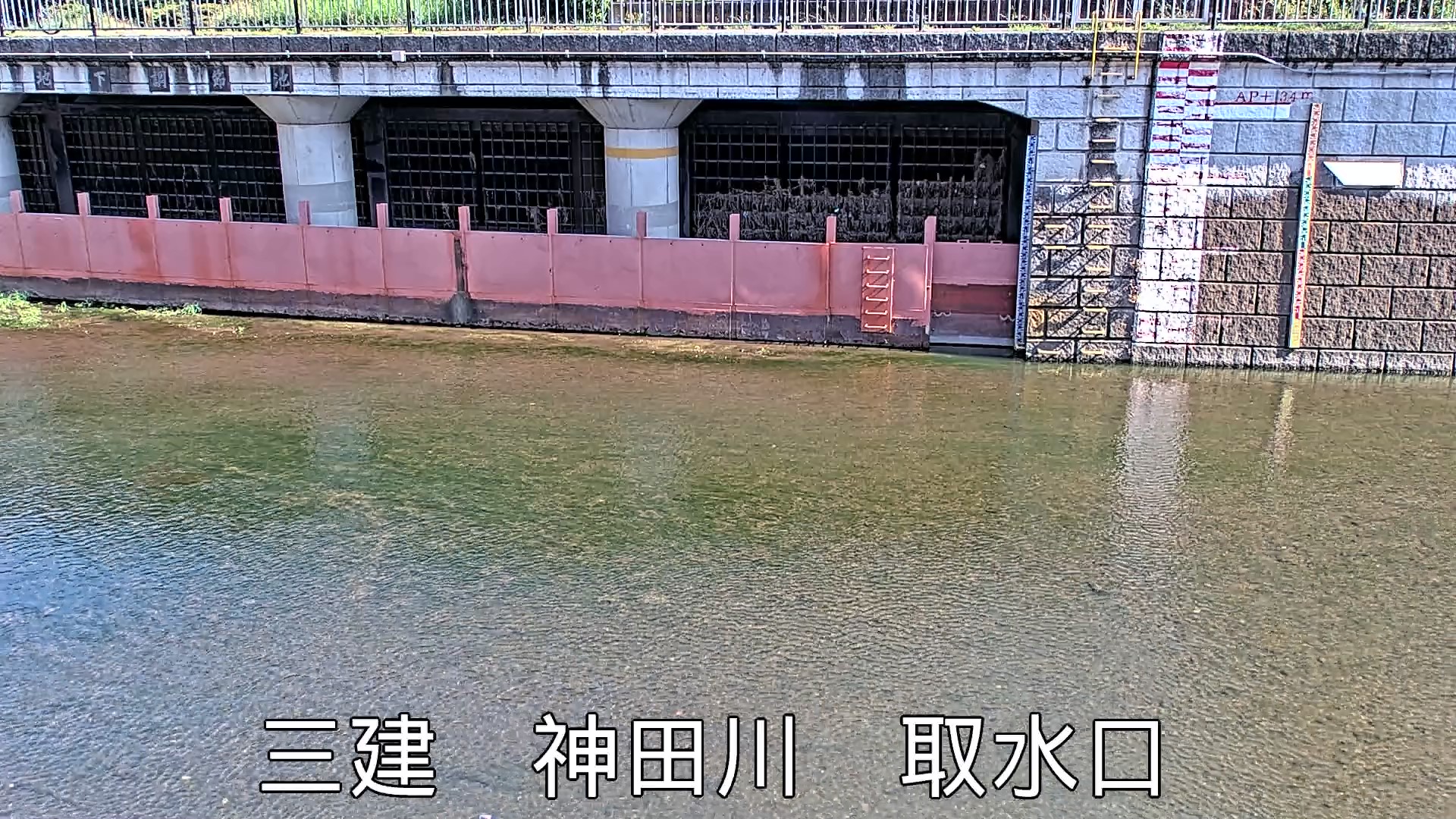 静止画