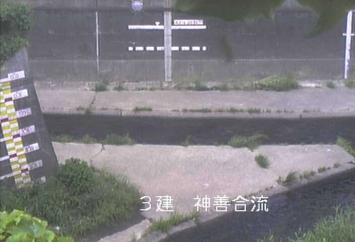 静止画