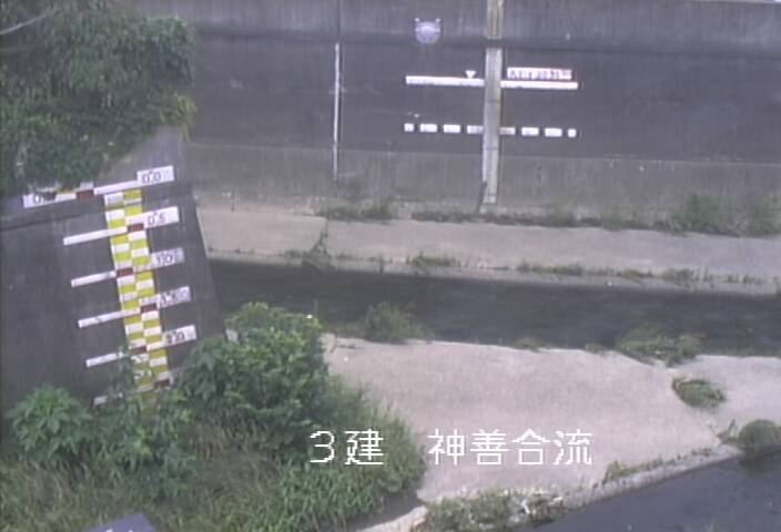 静止画
