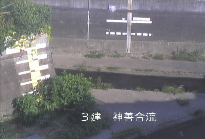 静止画