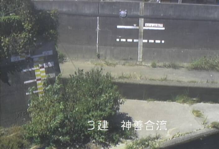 静止画